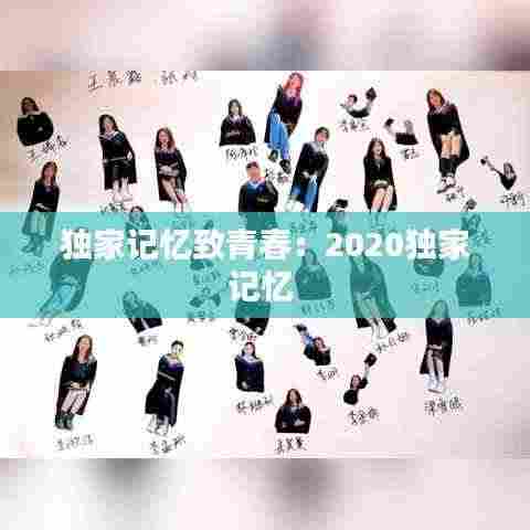 独家记忆致青春:2020独家记忆
