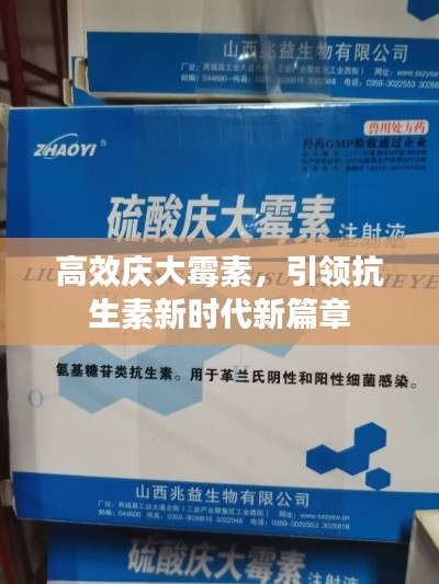 高效庆大霉素,引领抗生素新时代新篇章