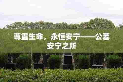 尊重生命，永恒安宁——公墓安宁之所