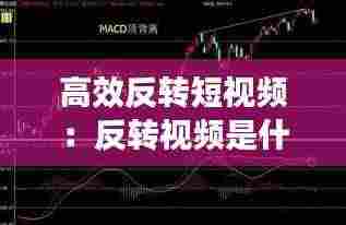 尊道贵德 第4页