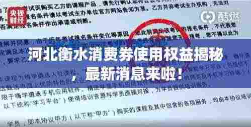 河北衡水消费券使用权益揭秘，最新消息来啦！