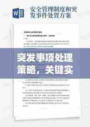 突发事项处理策略，关键实践与审慎应对之道