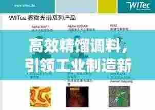 高效精馏调料,引领工业制造新时代的革新先锋