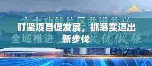 盯紧项目促发展，抓落实迈出新步伐