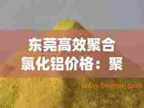 东莞高效聚合氯化铝价格:聚合氯化铝厂家排名