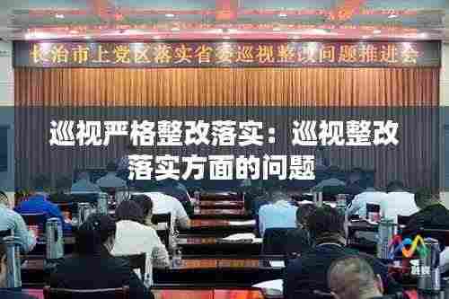 巡视严格整改落实:巡视整改落实方面的问题