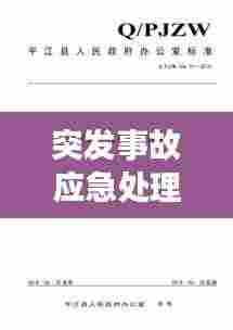 突发事故应急处理救援:突发事故应急处理预案