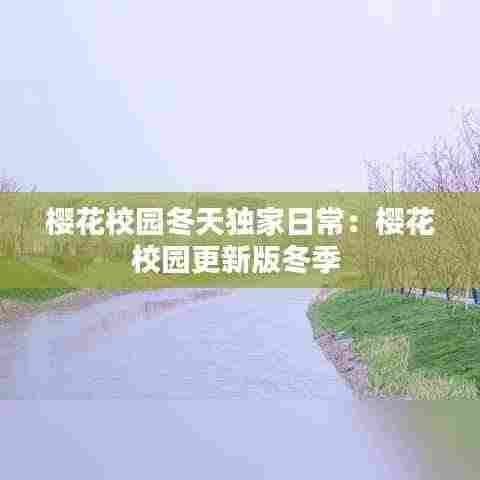 樱花校园冬天独家日常:樱花校园更新版冬季