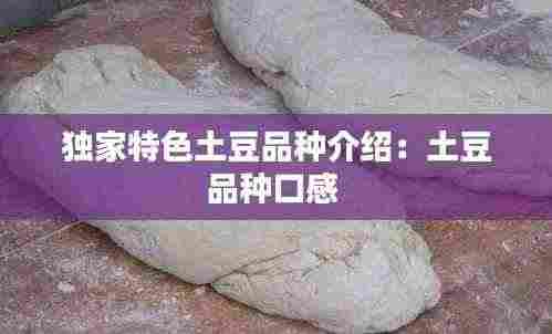 独家特色土豆品种介绍:土豆品种口感