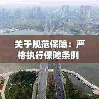 关于规范保障：严格执行保障条例 