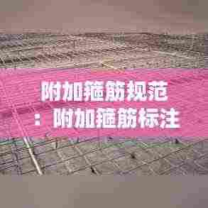 附加箍筋规范：附加箍筋标注 