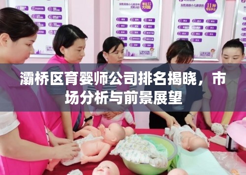 灞桥区育婴师公司排名揭晓,市场分析与前景展望