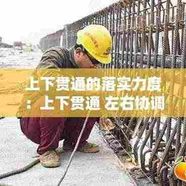 上下贯通的落实力度:上下贯通 左右协调