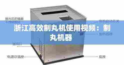 如鸟兽散 第4页