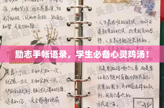 励志手帐语录,学生必备心灵鸡汤!