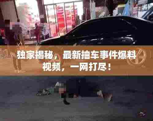 独家揭秘,最新抽车事件爆料视频,一网打尽!