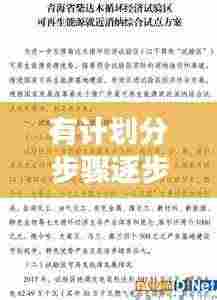 有计划分步骤逐步落实：按照计划落实工作 