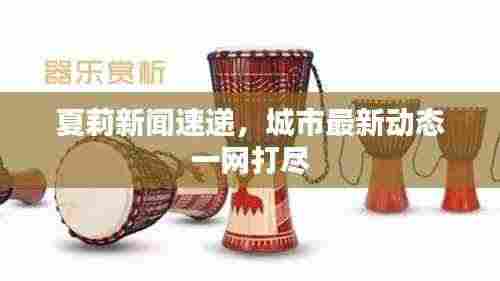 夏莉新闻速递，城市最新动态一网打尽