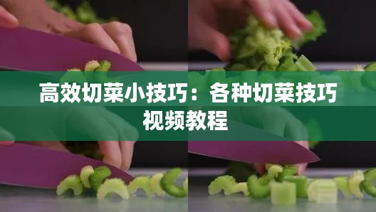 高效切菜小技巧：各种切菜技巧视频教程 