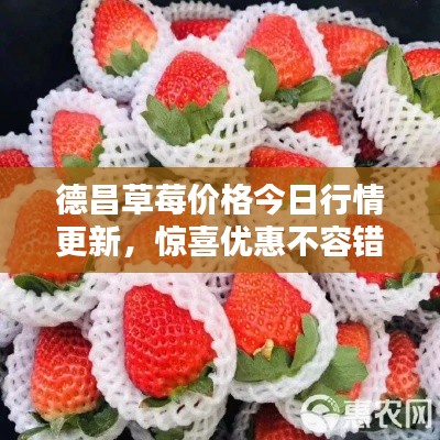 德昌草莓价格今日行情更新，惊喜优惠不容错过！