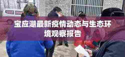 宝应湖最新疫情动态与生态环境观察报告