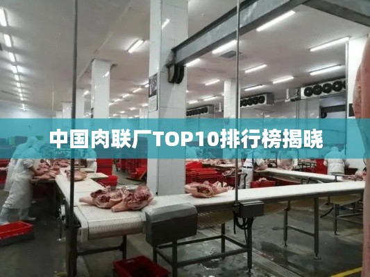 中国肉联厂TOP10排行榜揭晓