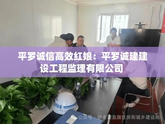 平罗诚信高效红娘:平罗诚建建设工程监理有限公司