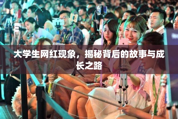 大学生网红现象,揭秘背后的故事与成长之路