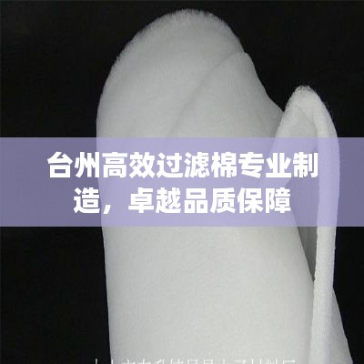 台州高效过滤棉专业制造，卓越品质保障