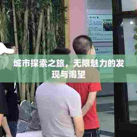 城市探索之旅，无限魅力的发现与渴望