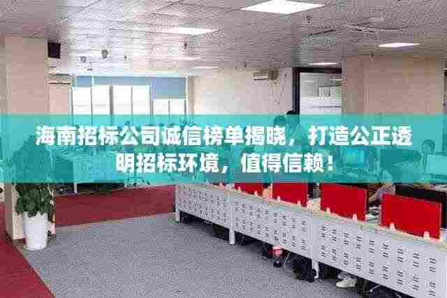 海南招标公司诚信榜单揭晓，打造公正透明招标环境，值得信赖！
