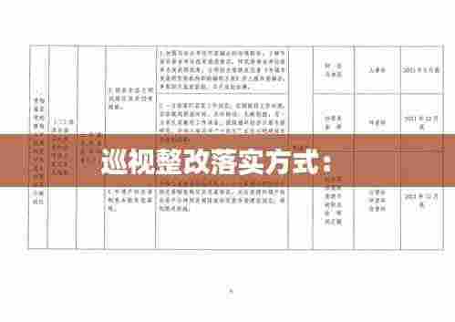 巡视整改落实方式： 
