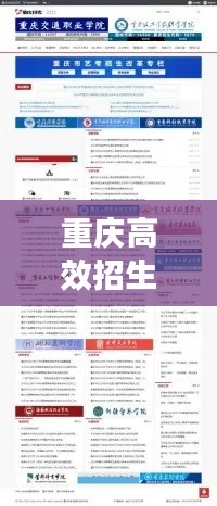 重庆高效招生引流平台:重庆市高校招生信息网