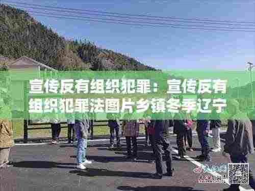 宣传反有组织犯罪:宣传反有组织犯罪法图片乡镇冬季辽宁省朝阳市