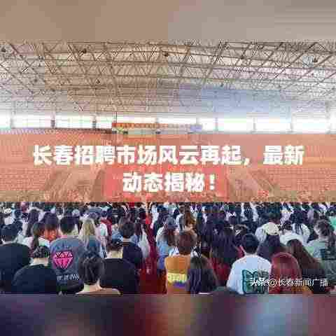 长春招聘市场风云再起，最新动态揭秘！