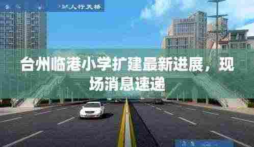 台州临港小学扩建最新进展,现场消息速递