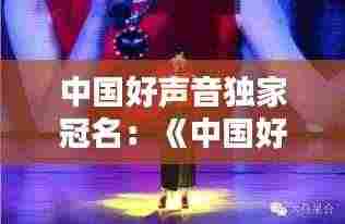 中国好声音独家冠名:《中国好声音》冠军