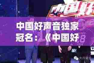中国好声音独家冠名:《中国好声音》冠军