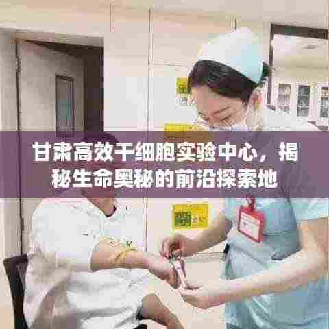 甘肃高效干细胞实验中心，揭秘生命奥秘的前沿探索地