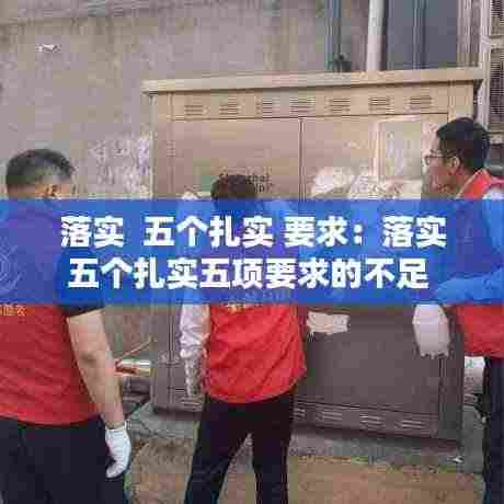 落实 五个扎实 要求:落实五个扎实五项要求的不足