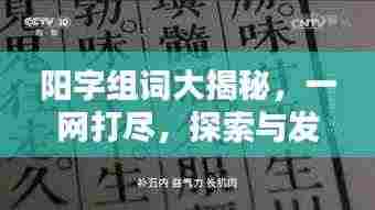阳字组词大揭秘,一网打尽,探索与发现