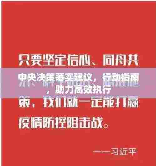 中央决策落实建议,行动指南,助力高效执行