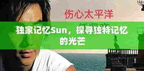 独家记忆Sun,探寻独特记忆的光芒