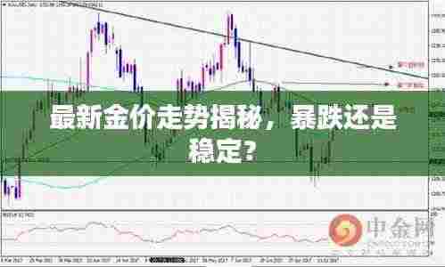 最新金价走势揭秘，暴跌还是稳定？