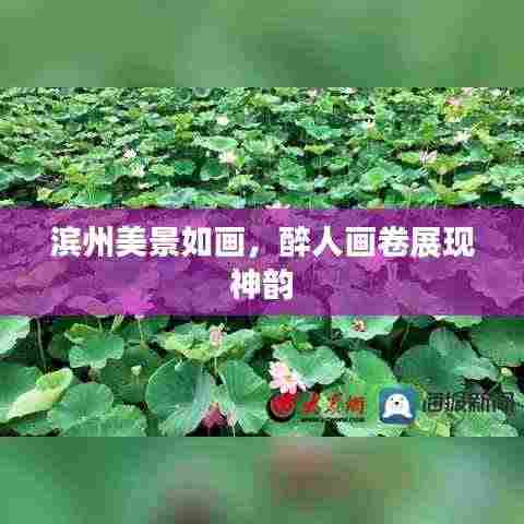 滨州美景如画,醉人画卷展现神韵