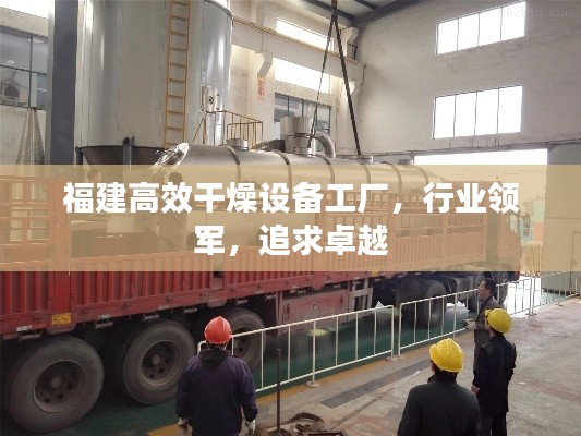 福建高效干燥设备工厂,行业领军,追求卓越