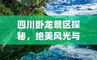 四川卧龙景区探秘，绝美风光与深度旅游攻略