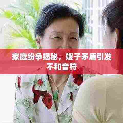 家庭纷争揭秘,嫂子矛盾引发不和音符