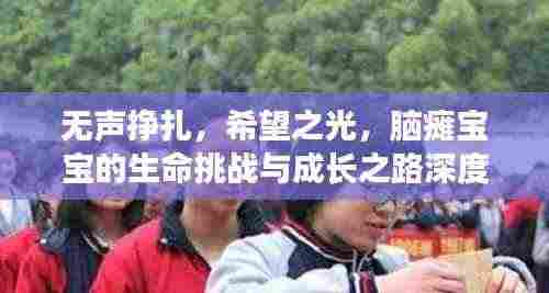 无声挣扎，希望之光，脑瘫宝宝的生命挑战与成长之路深度报道