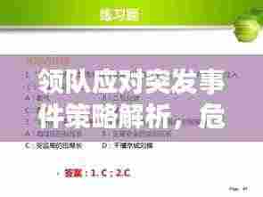 领队应对突发事件策略解析,危机处理之道